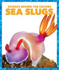 Cover image for Sea Slugs