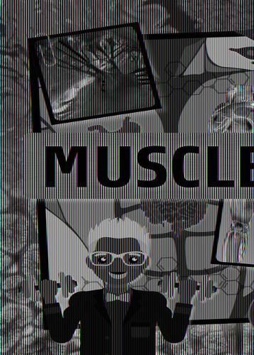 Cover image for Muscles