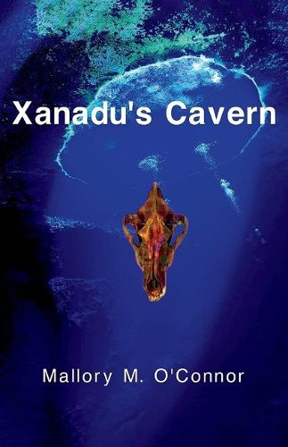 Cover image for Xanadu's Cavern