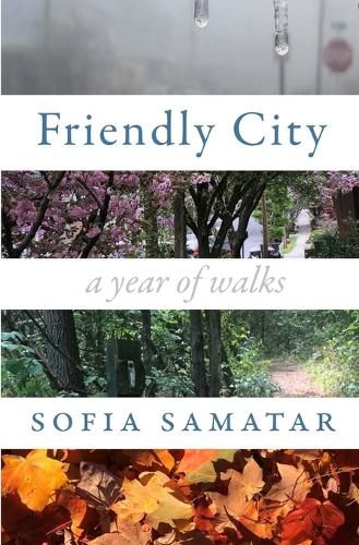 Cover image for Friendly City