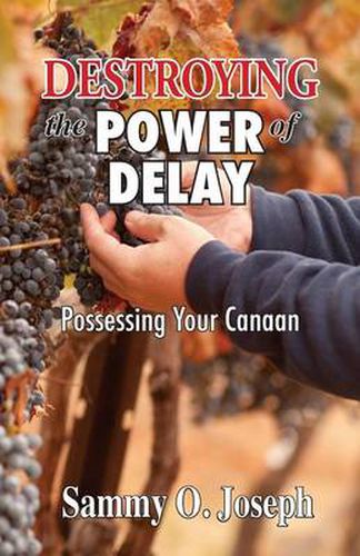 Cover image for Destroying the Power of Delay: Possessing Your Canaan