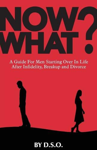 Cover image for Now What?: A Guide for Men Starting Over in Life After Infidelity, Breakup and Divorce