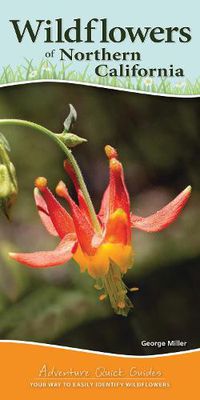 Cover image for Wildflowers of Northern California: Your Way to Easily Identify Wildflowers