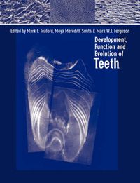 Cover image for Development, Function and Evolution of Teeth