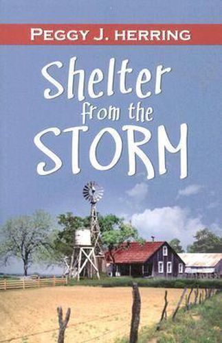 Cover image for Shelter from the Storm