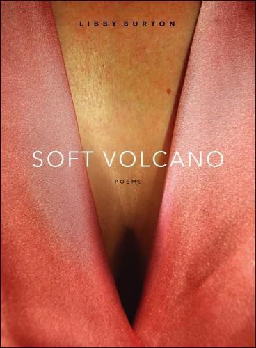 Cover image for Soft Volcano