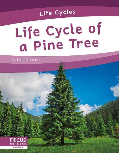 Cover image for Life Cycles: Life Cycle of a Pine Tree