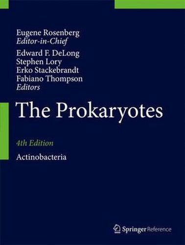 Cover image for The Prokaryotes: Actinobacteria