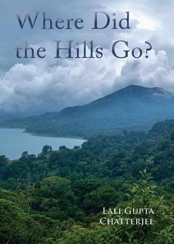 Cover image for Where Did the Hills Go