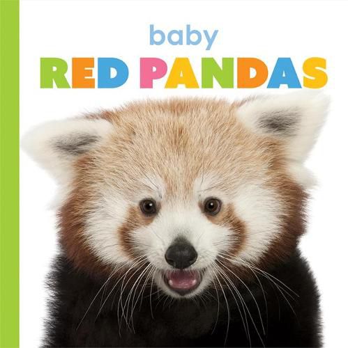Cover image for Baby Red Pandas