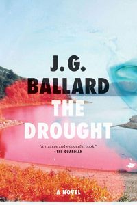 Cover image for The Drought