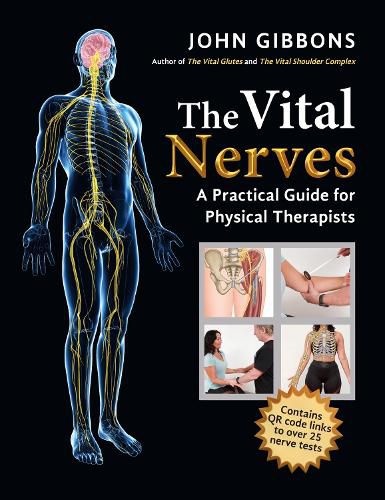 Cover image for The Vital Nerves: A Practical Guide for Physical Therapists