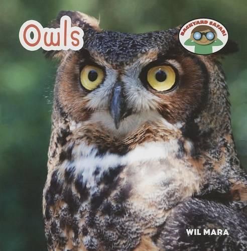 Cover image for Owls