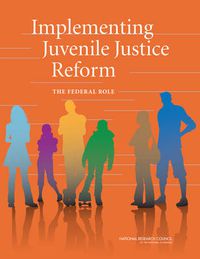 Cover image for Implementing Juvenile Justice Reform: The Federal Role