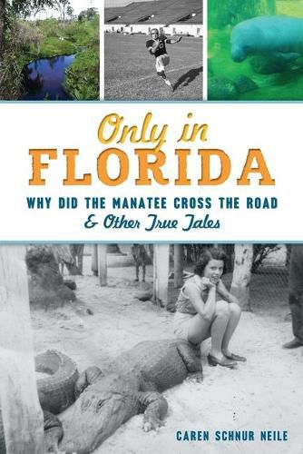 Only in Florida: Why Did the Manatee Cross the Road and Other True Tales