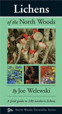 Cover image for Lichens of the North Woods