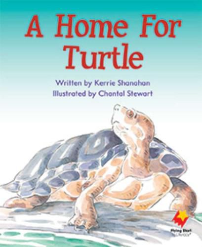 Cover image for A Home For Turtle