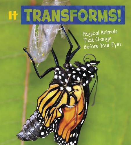 Cover image for It Transforms!: Magical Animals That Change Before Your Eyes