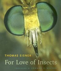 Cover image for For Love of Insects