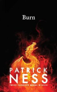 Cover image for Burn