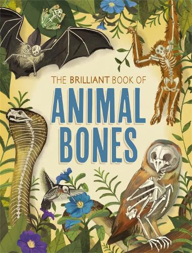 Cover image for The Brilliant Book of Animal Bones