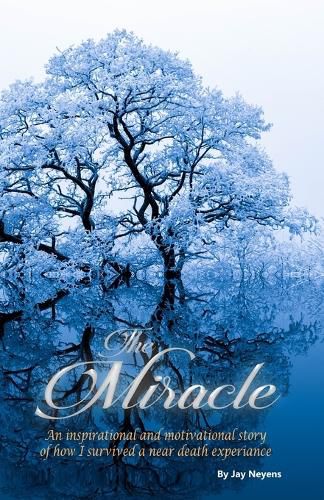 Cover image for The Miracle
