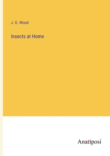 Cover image for Insects at Home