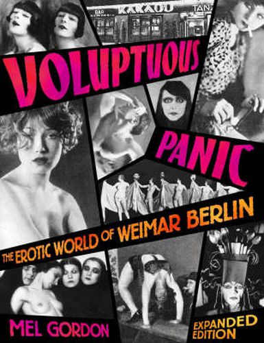 Cover image for Voluptuous Panic: The Erotic World of Weimar Berlin