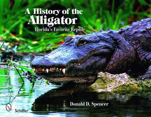 Cover image for A History of the Alligator: Florida's Favorite Reptile