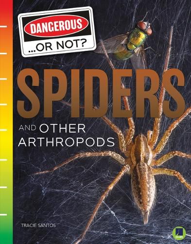 Cover image for Spiders and Other Arthropods