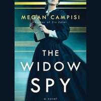 Cover image for The Widow Spy