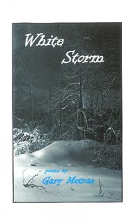 Cover image for White Storm