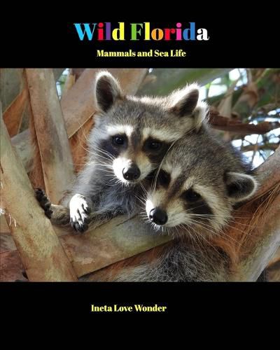 Cover image for Wild Florida