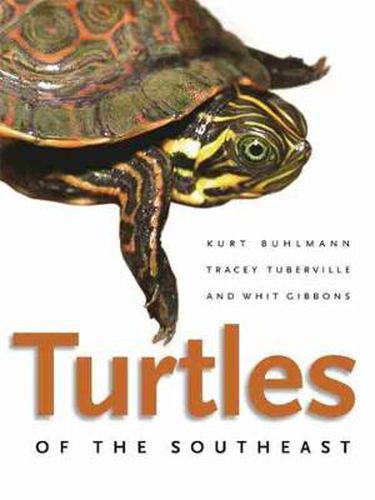 Cover image for Turtles of the Southeast