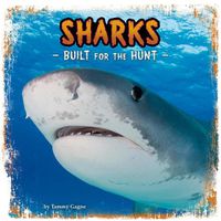 Cover image for Sharks: Built for the Hunt