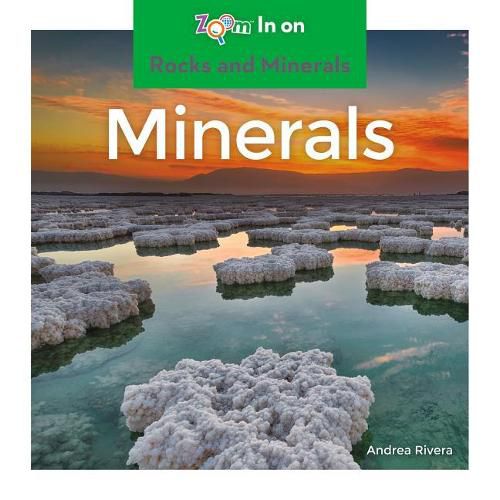 Cover image for Minerals