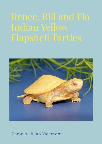 Cover image for Renee, Bill and Flo Indian Yellow Flapshell Turtles