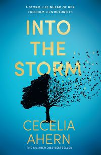 Cover image for Into the Storm