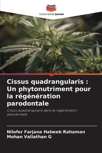 Cover image for Cissus quadrangularis