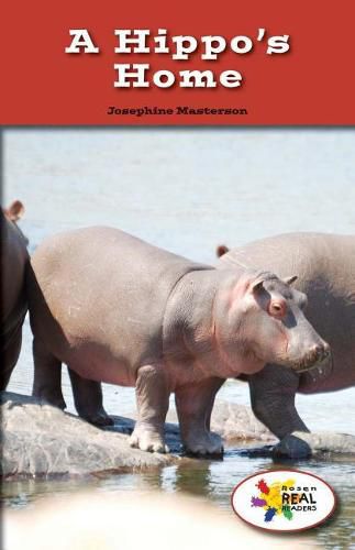 Cover image for A Hippo's Home