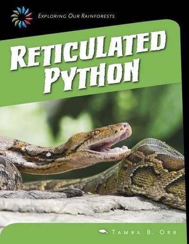 Cover image for Reticulated Python