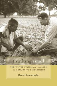 Cover image for Thinking Small: The United States and the Lure of Community Development