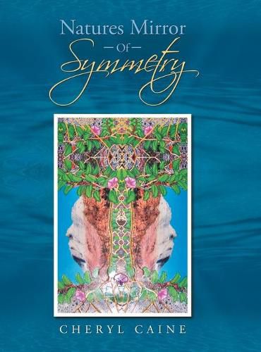 Cover image for Natures Mirror Of Symmetry