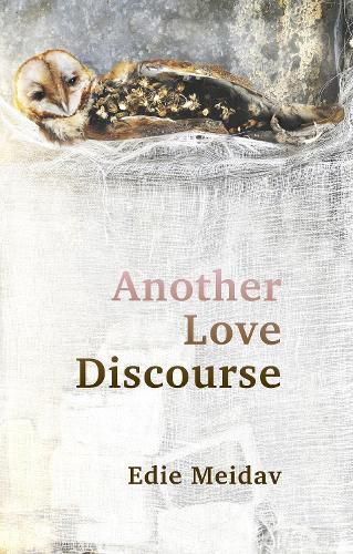 Cover image for Another Love Discourse