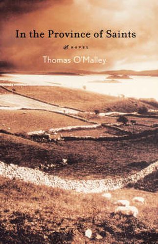 Cover image for In The Province Of Saints