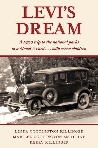 Cover image for Levi's Dream