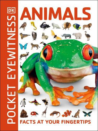 Cover image for Animals