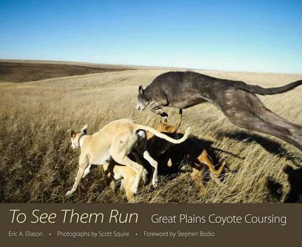 Cover image for To See Them Run: Great Plains Coyote Coursing