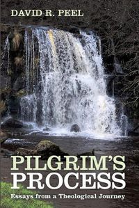 Cover image for Pilgrim's Process
