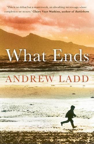 Cover image for What Ends